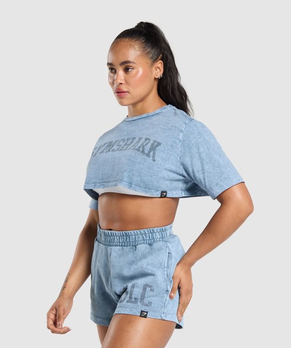 Collegiate Shadow Washed Crop Top - Image 3