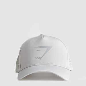 Mesh Trucker