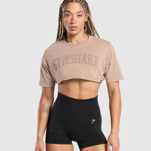 Collegiate Shadow Washed Crop Top