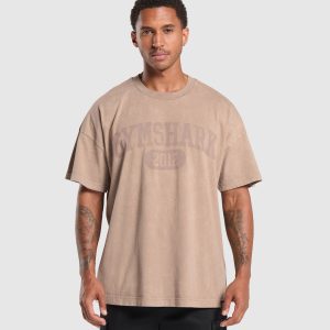 Collegiate Shadow Washed T-Shirt