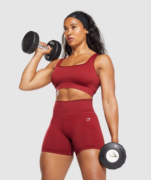 Adapt Fleck Sports Bra - Image 4