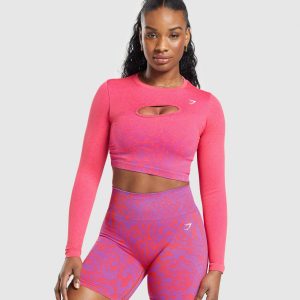 Adapt Safari Seamless Faded Long Sleeve Top