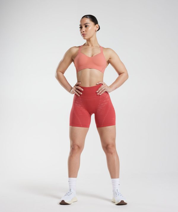 Apex Limit Sports Bra - Image 4