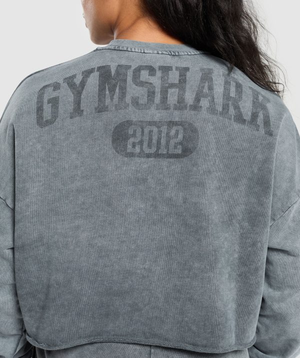 Collegiate Shadow Washed Midi Sweatshirt - Image 7