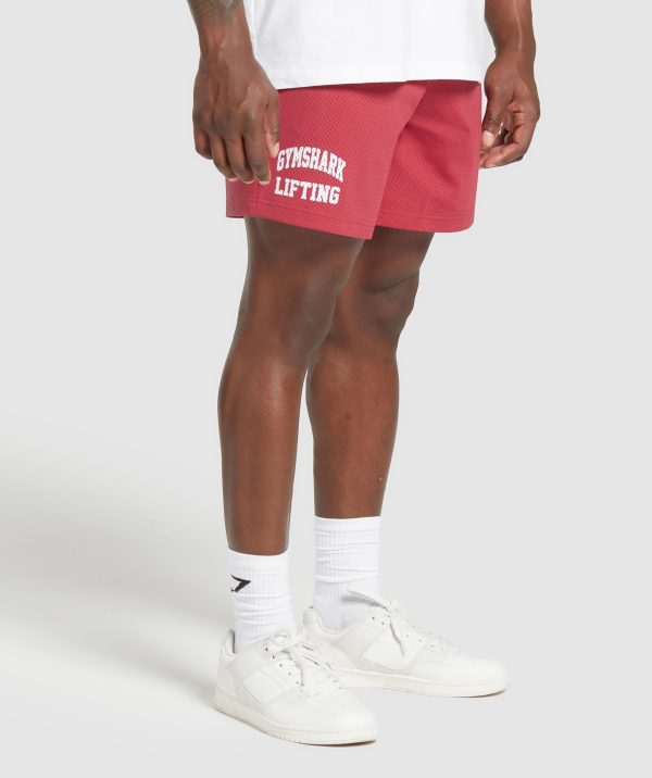 Lifting Mesh 7" Shorts - Image 3
