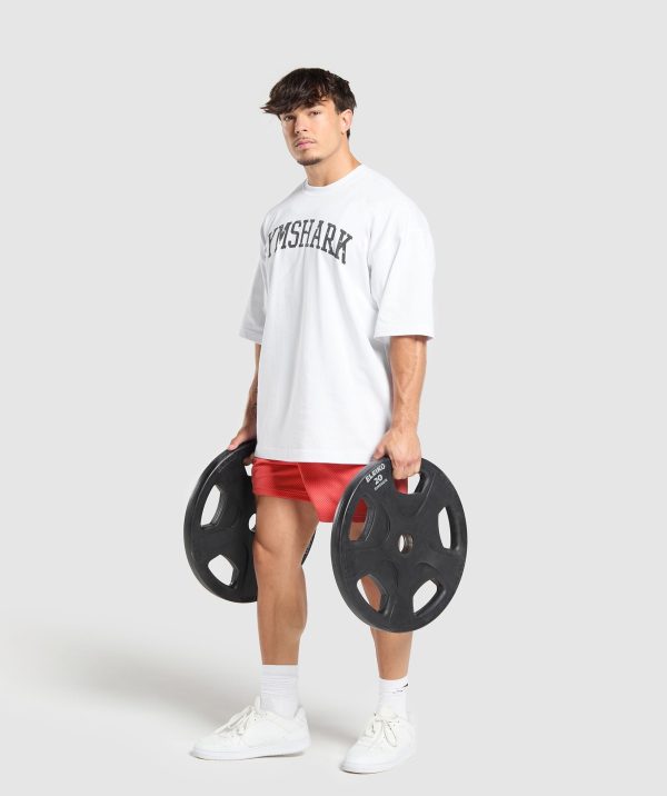 Lifting Mesh 5" Shorts - Image 4