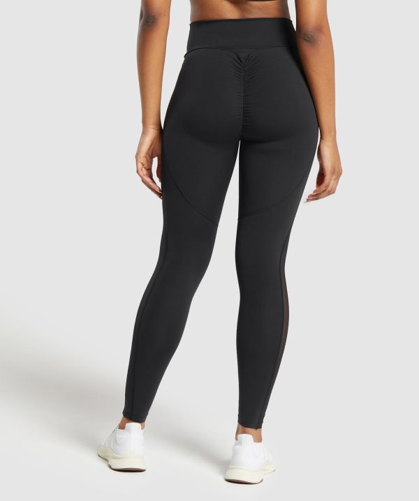 Mesh Placement Leggings - Image 3