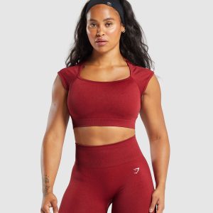 Adapt Fleck Seamless Crop Top