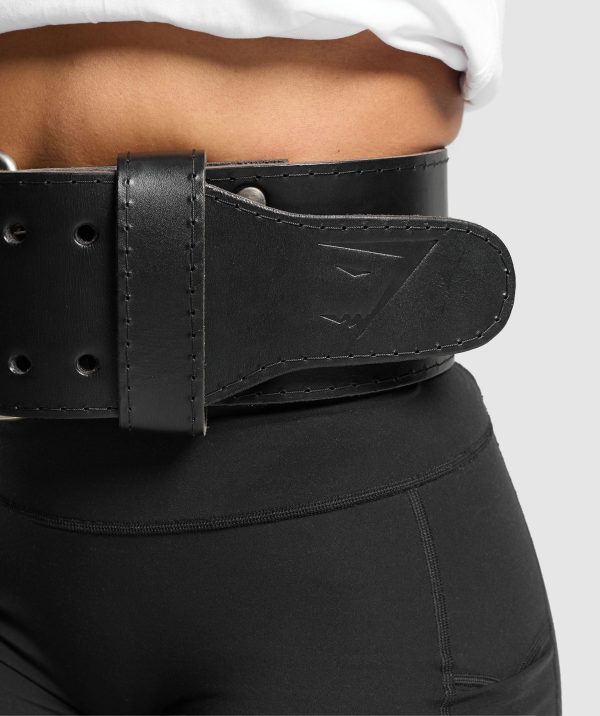 Double Prong Lifting Belt - Image 8