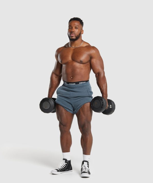 Heritage Washed 5" Shorts - Image 4
