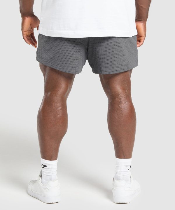 Lifting Mesh 5" Shorts - Image 2