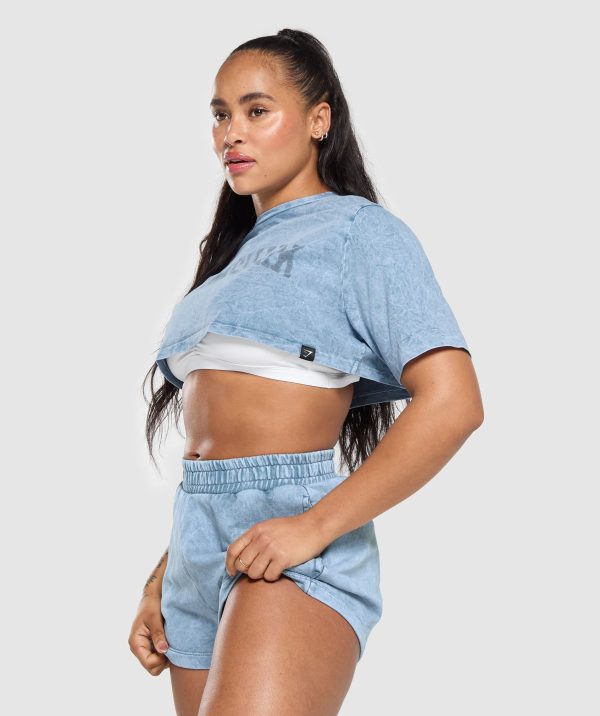 Collegiate Shadow Washed Crop Top - Image 5
