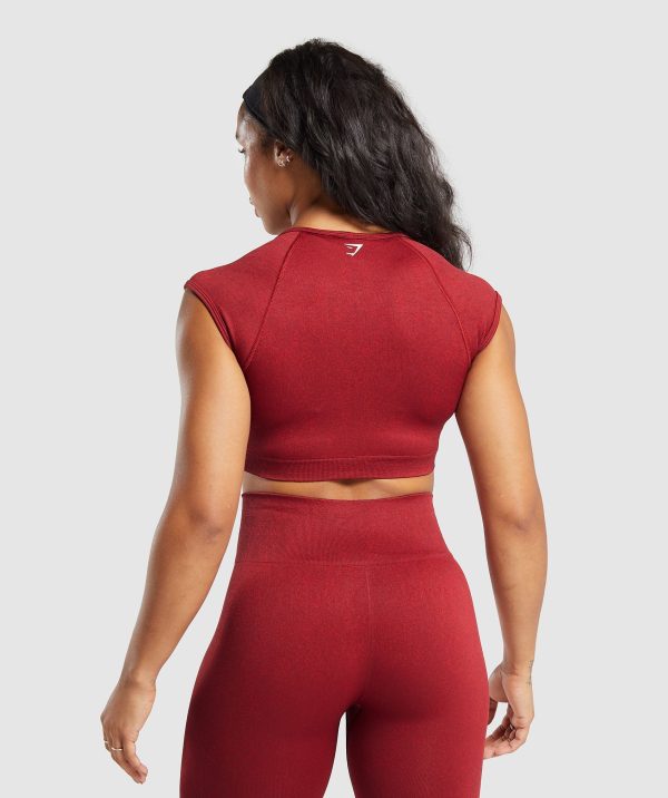 Adapt Fleck Seamless Crop Top - Image 2