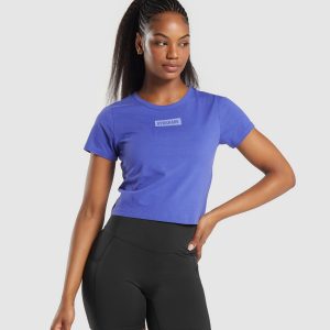 Block Crop Top