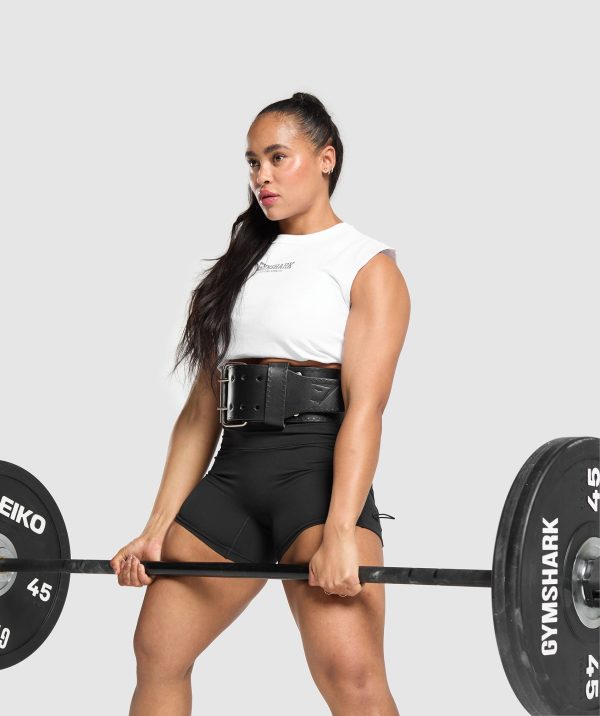 Double Prong Lifting Belt - Image 4