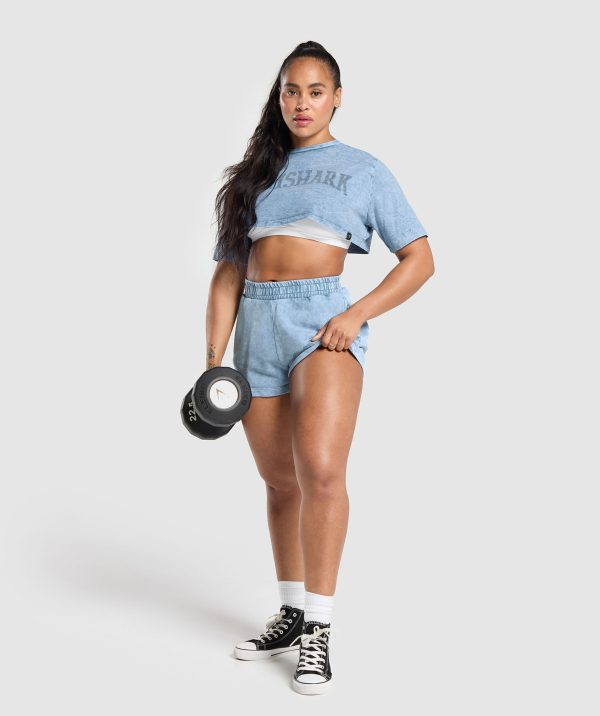 Collegiate Shadow Washed Crop Top - Image 4