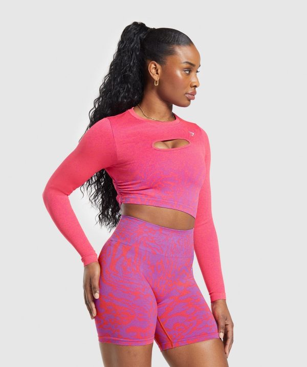 Adapt Safari Seamless Faded Long Sleeve Top - Image 3