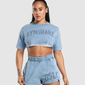 Collegiate Shadow Washed Crop Top