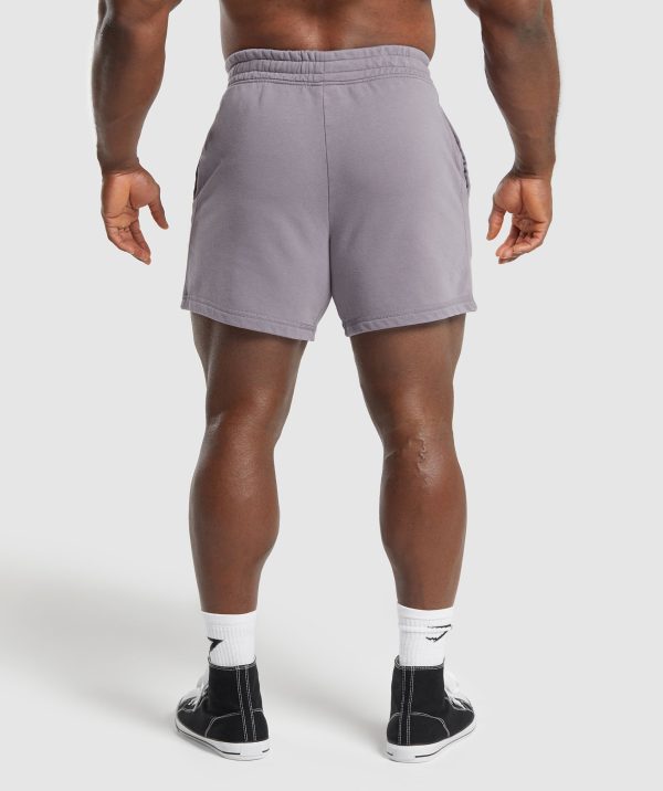 Heritage Washed 5" Shorts - Image 2