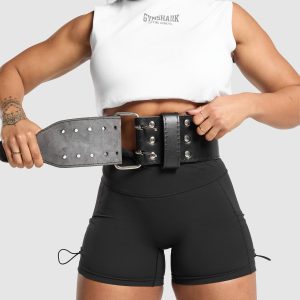 Double Prong Lifting Belt