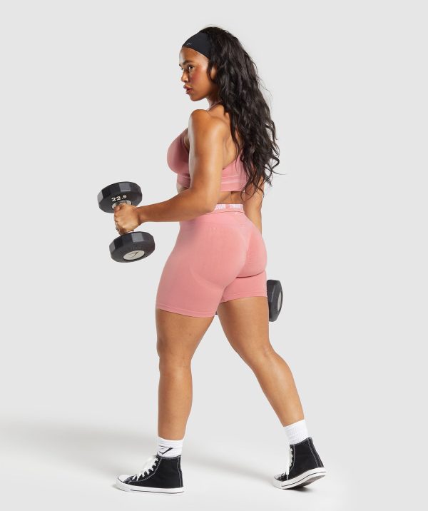 Boost Bra - Image 4