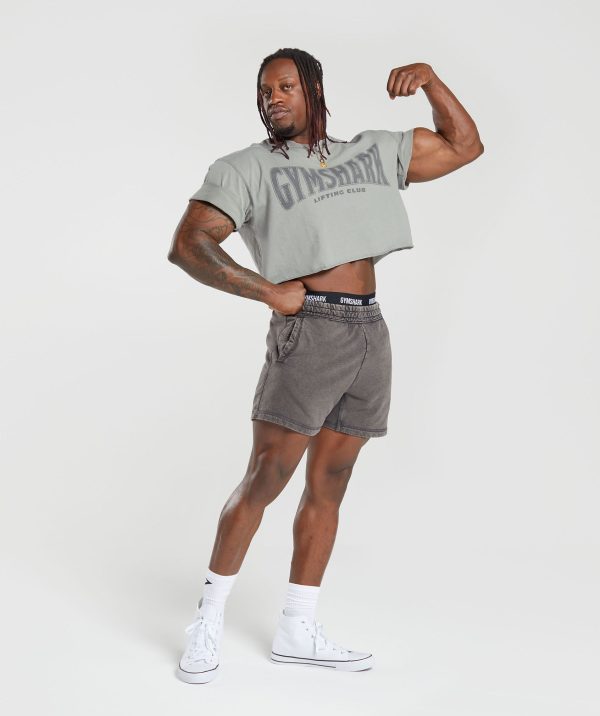 Heritage 5" Shorts - Image 4