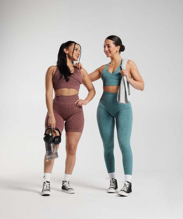 Adapt Animal Seamless Sports Bra - Image 4