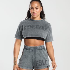 Collegiate Shadow Washed Crop Top