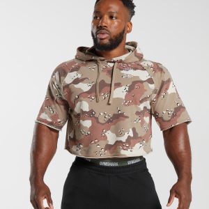 Legacy Short Sleeve Crop Hoodie