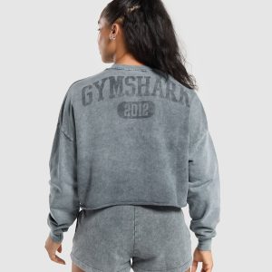 Collegiate Shadow Washed Midi Sweatshirt