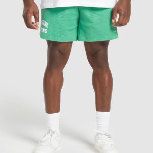 Lifting Mesh 7" Shorts