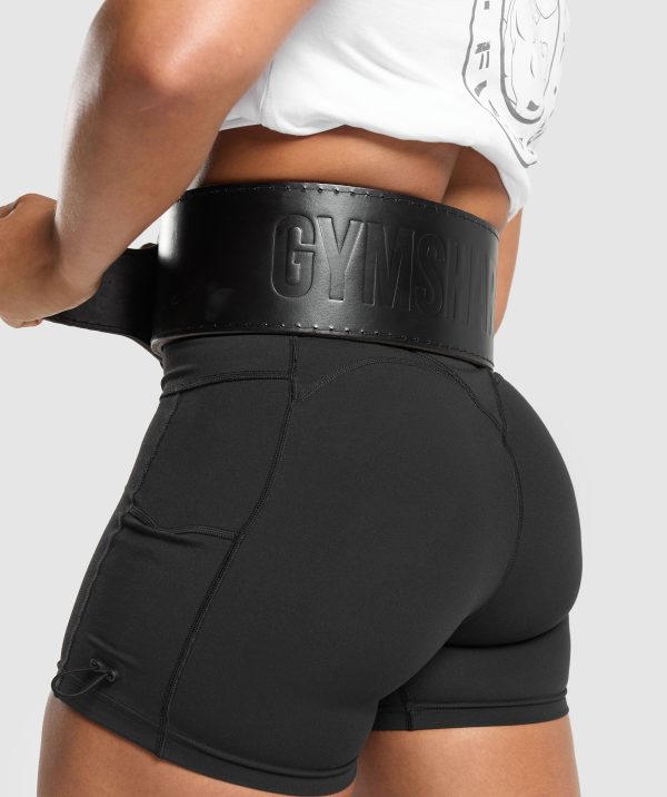 Double Prong Lifting Belt - Image 3