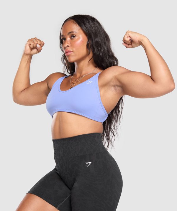 Back Gains Sports Bra - Image 5