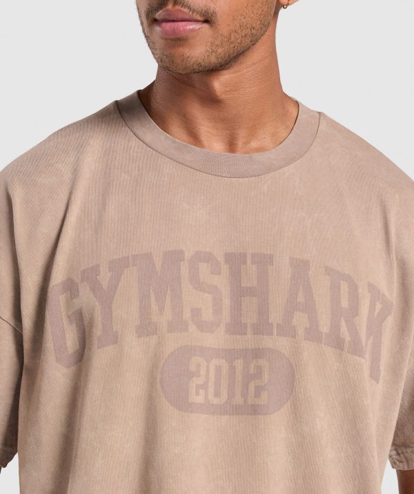Collegiate Shadow Washed T-Shirt - Image 6