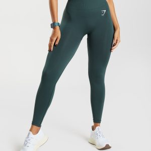 Vital Seamless 2.0 Leggings