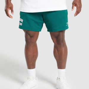 Lifting Mesh 7" Shorts