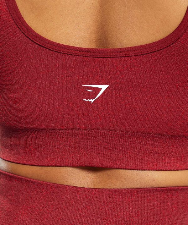 Adapt Fleck Sports Bra - Image 6