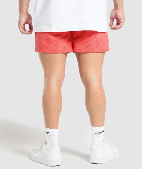 Lifting Mesh 5" Shorts - Image 2