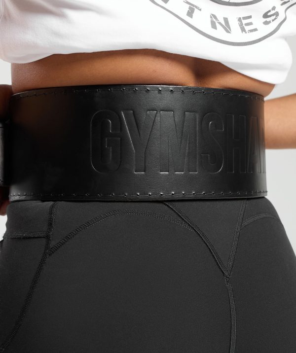 Double Prong Lifting Belt - Image 5