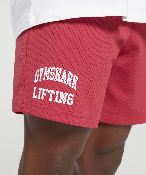 Lifting Mesh 7" Shorts - Image 7
