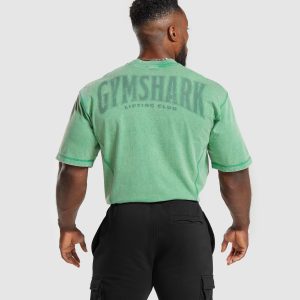 Heritage Washed T-Shirt