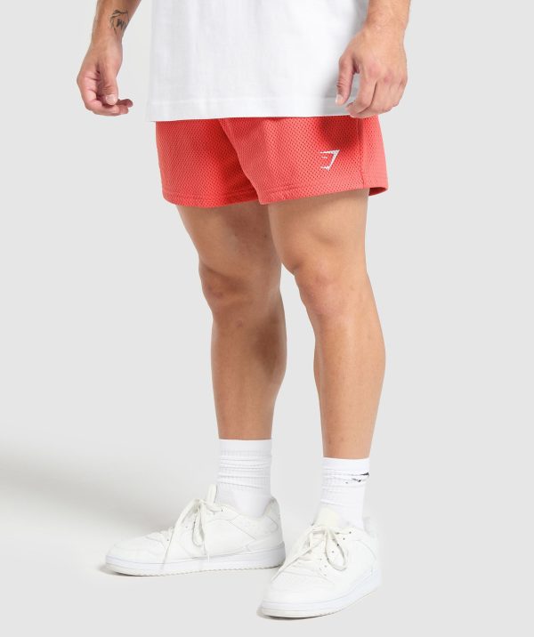 Lifting Mesh 5" Shorts - Image 3