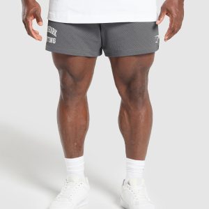 Lifting Mesh 5" Shorts