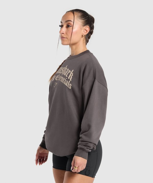Lifting Essentials Oversized Sweatshirt - Image 3