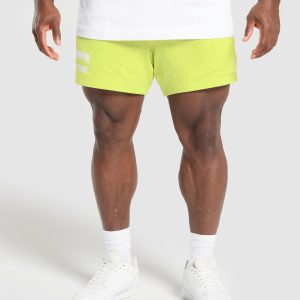 Lifting Mesh 5" Shorts