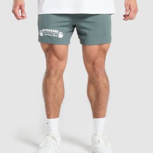 Workout Gear Mesh 5" Shorts