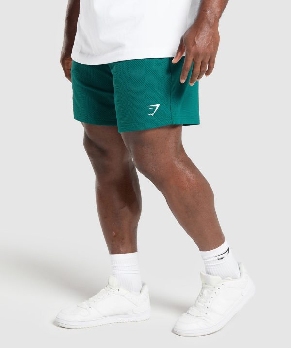 Lifting Mesh 7" Shorts - Image 3