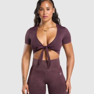 Gains Seamless Crop Top