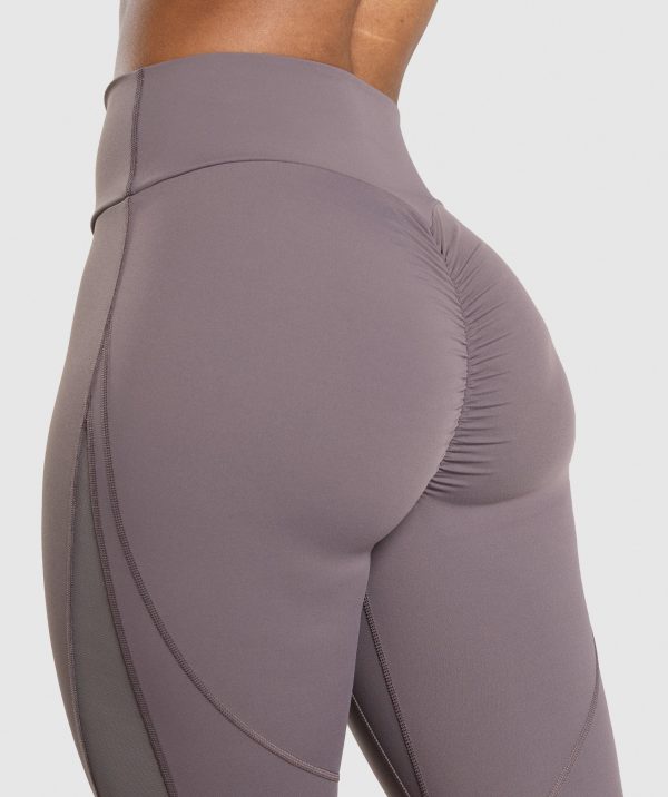 Mesh Placement Leggings - Image 6