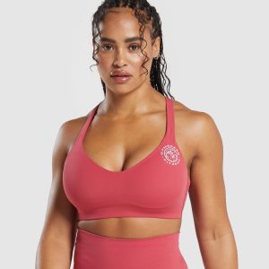 Legacy Sports Bra